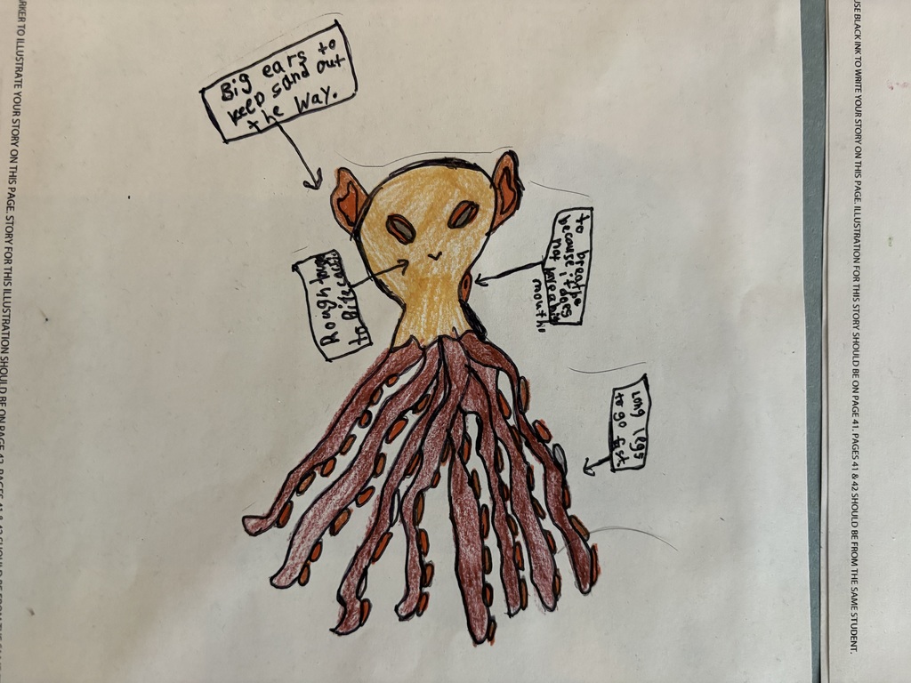 Student drawings of animals redesigned for new habitats, showing creative adaptations such as changes in color, body features, and behaviors to help them survive in different environments.