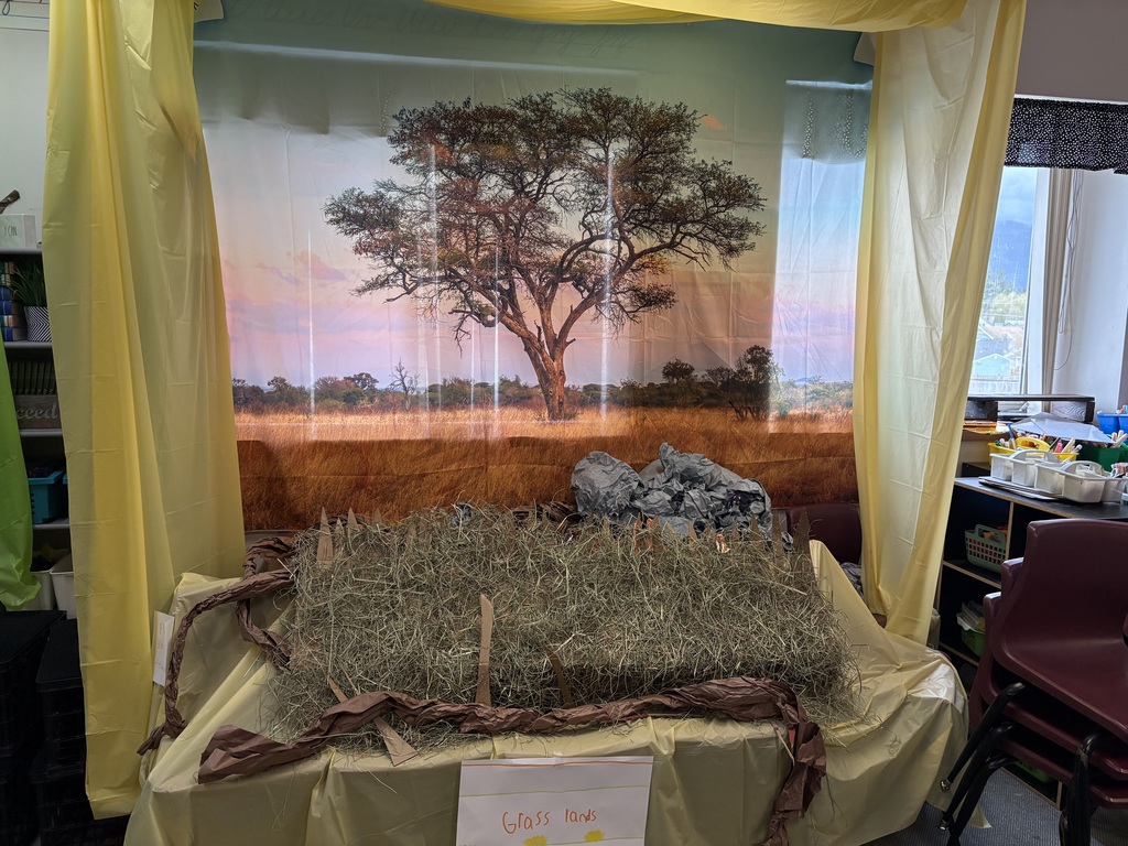 A large, immersive grassland diorama with student-created plants and animals spread across an open landscape, showing how animals adapt to life in grassy environments.