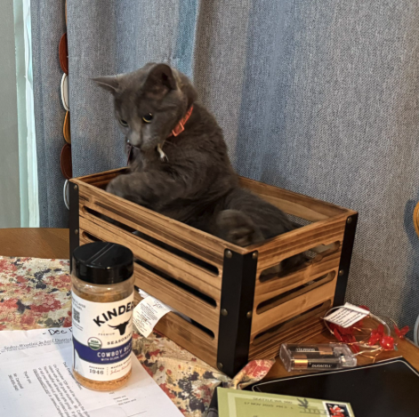 A grey cat sitting in a box. 