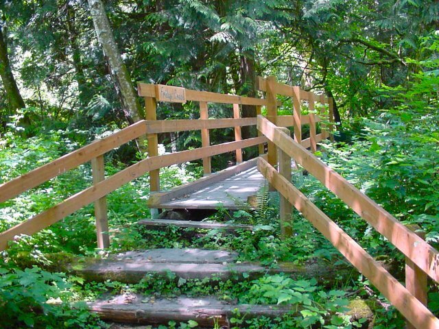 Many families don't realize Pomona Grange Park features interpretive trails, local plant information, Friday Creek access, and opportunities to spot salmon during spawning season. This local treasure is a great place to learn while exploring.