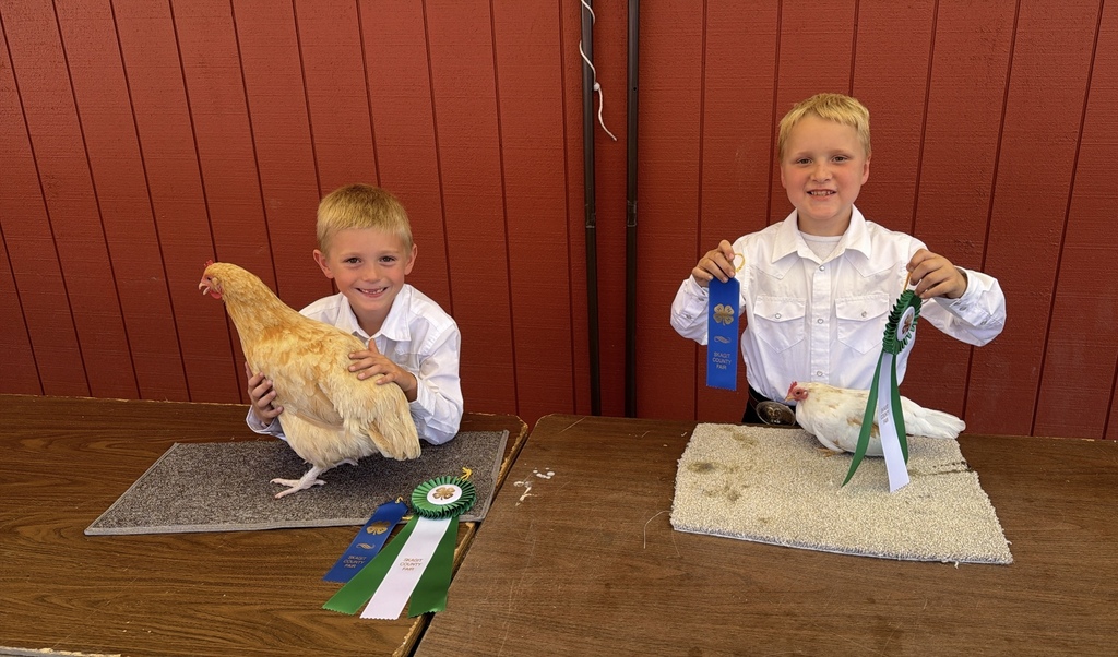 Oliver, who will be attending Central Elementary this fall, and Wyatt, who will be attending Clear Lake Elementary, spent the day showing their chickens, learning from the judge, and building confidence along the way.