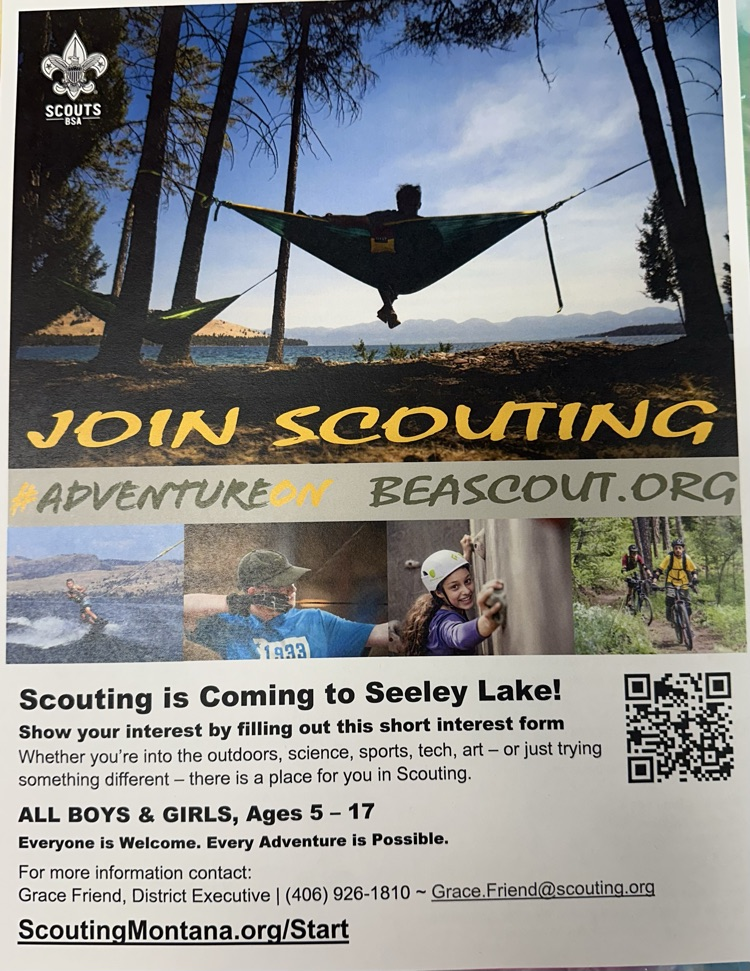 scout