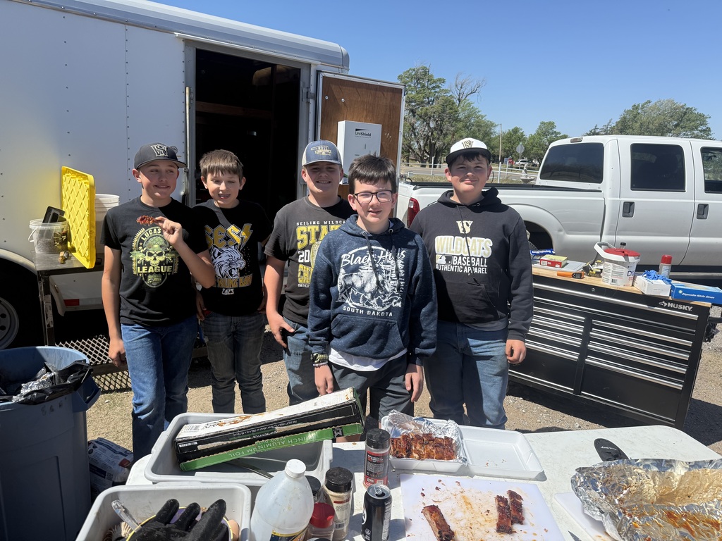 Bbq3