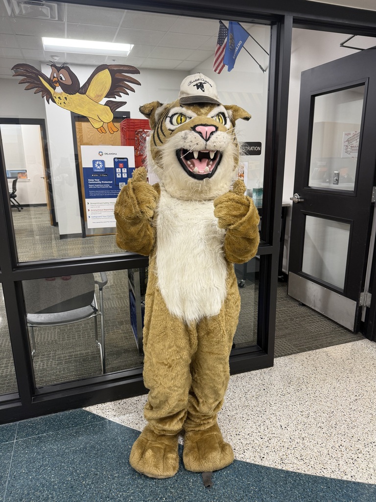 mascot w hat