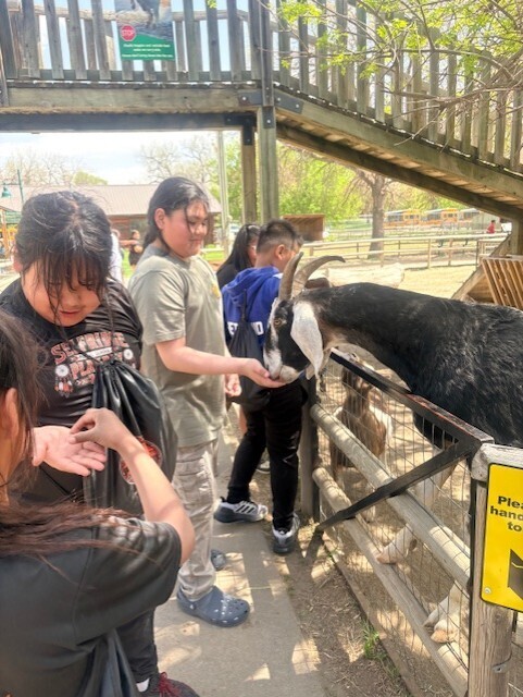 Zoo