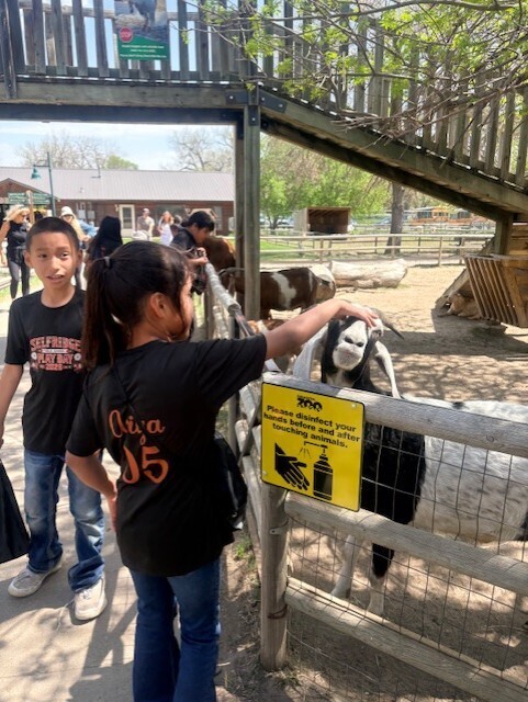 Zoo