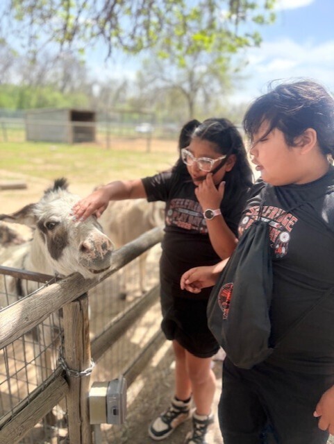 Zoo