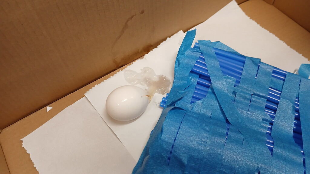 Egg