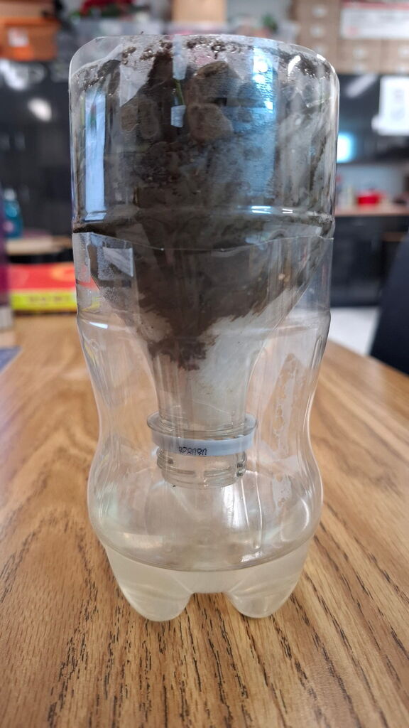 Water