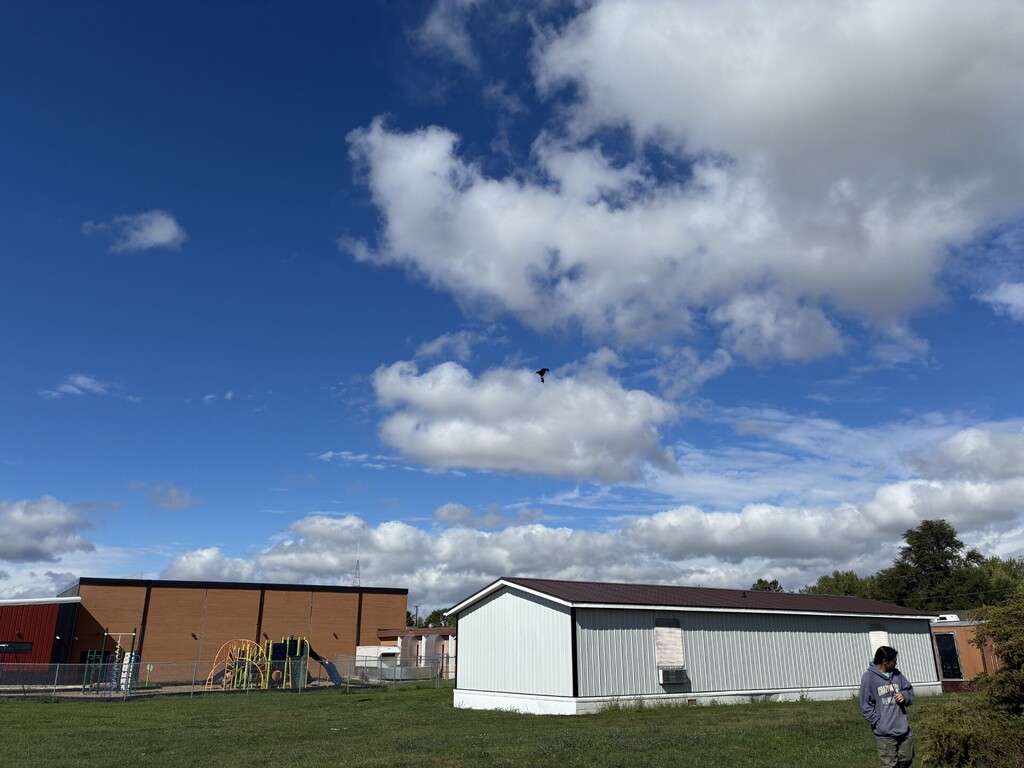 Kite