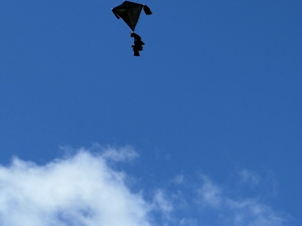 Kite
