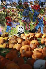 Pumpkins