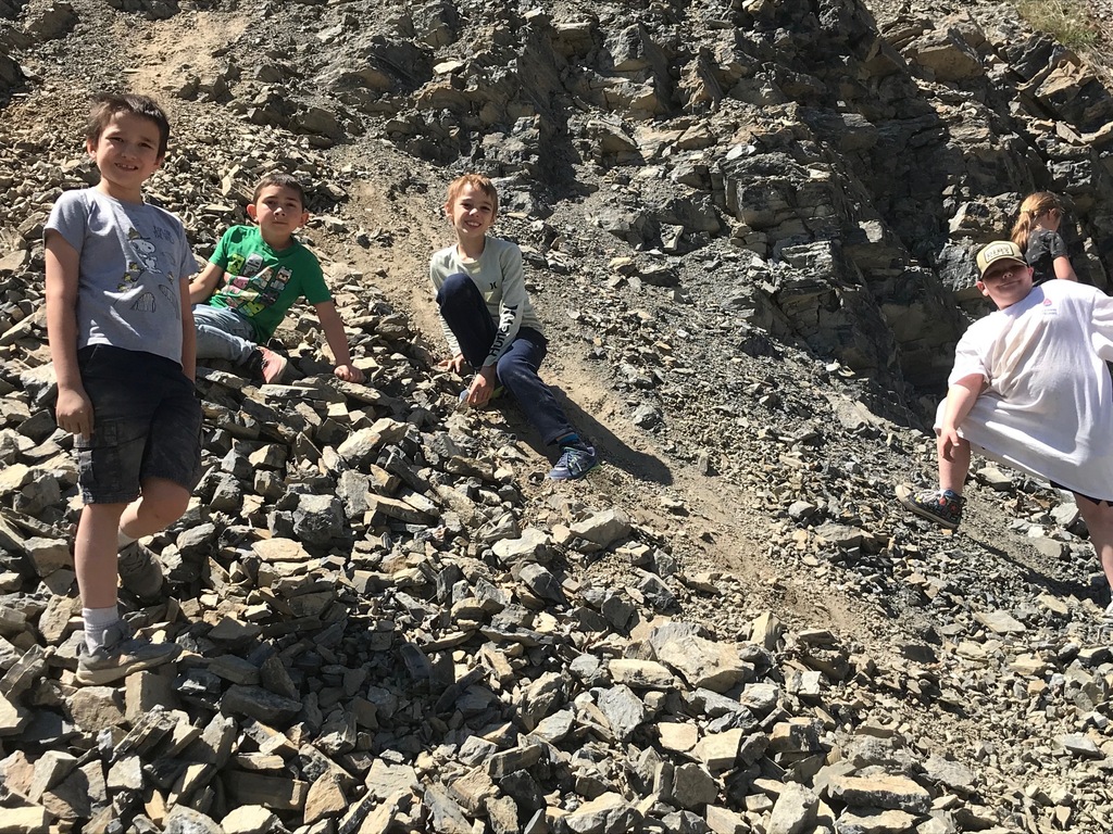 Fossils