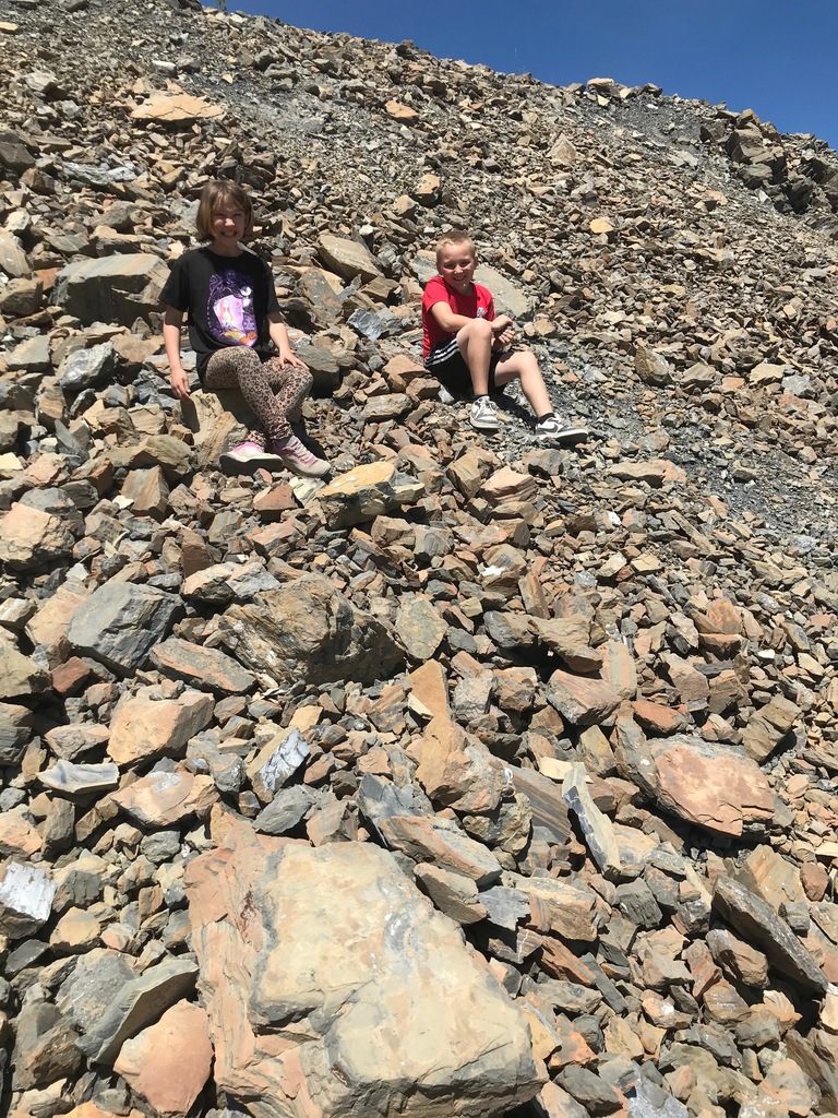 Fossils