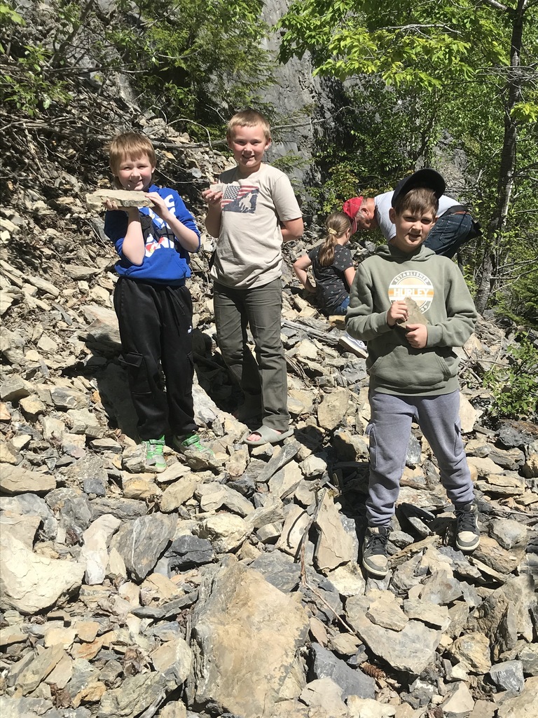 Fossils