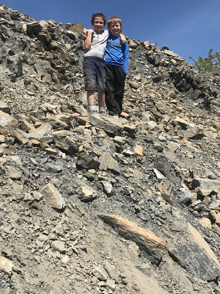 Fossils