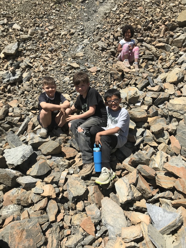 Fossils