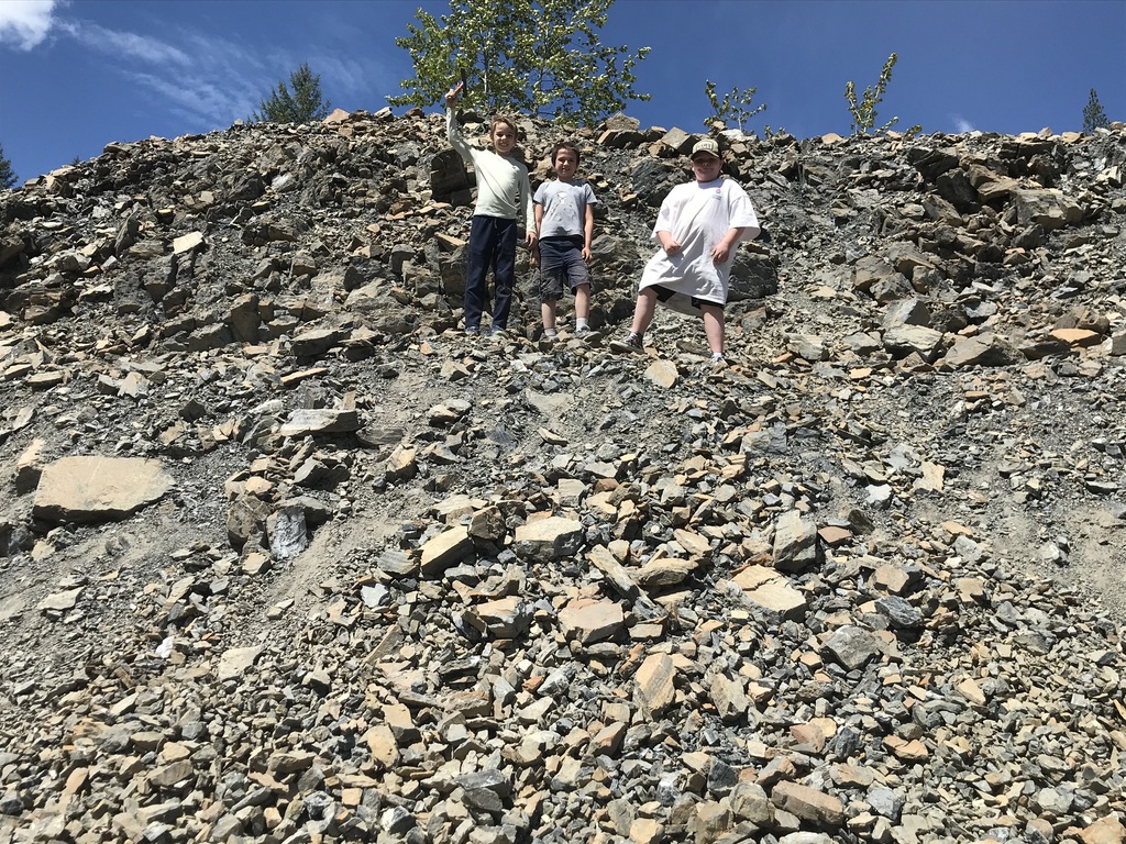 Fossils