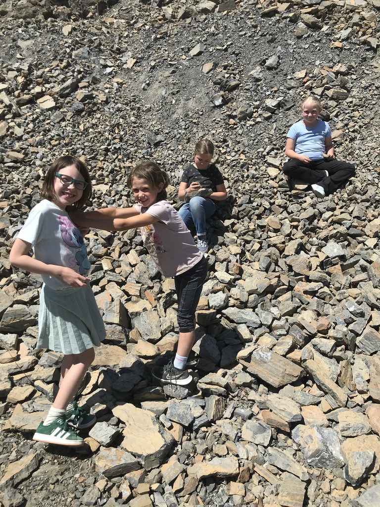 Fossils