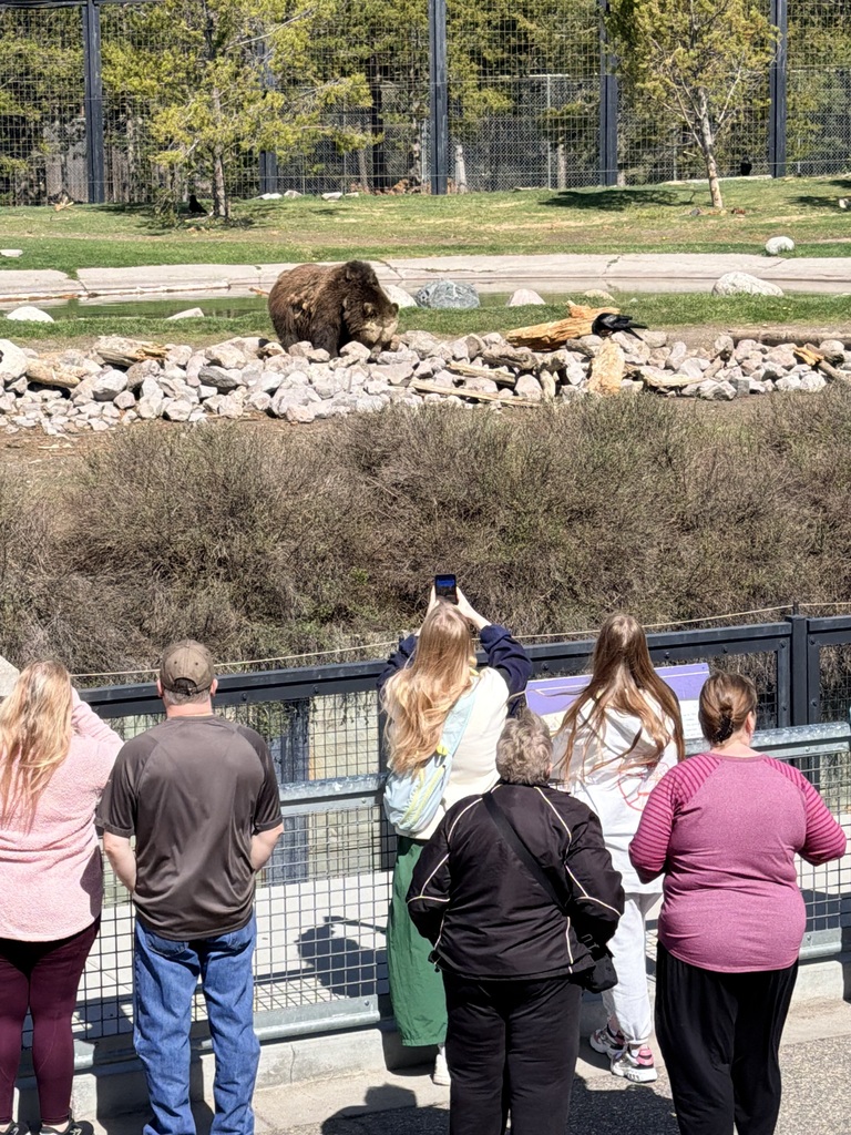 Senior Trip