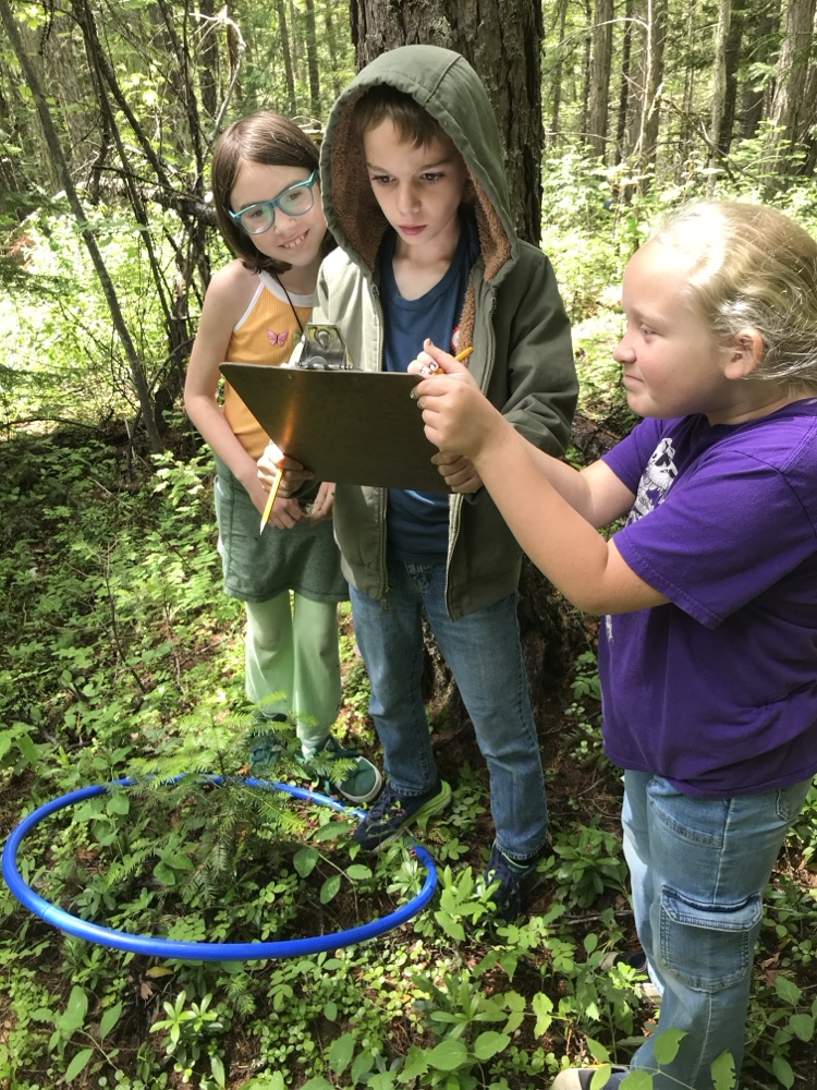 3rd Grade Adventure 