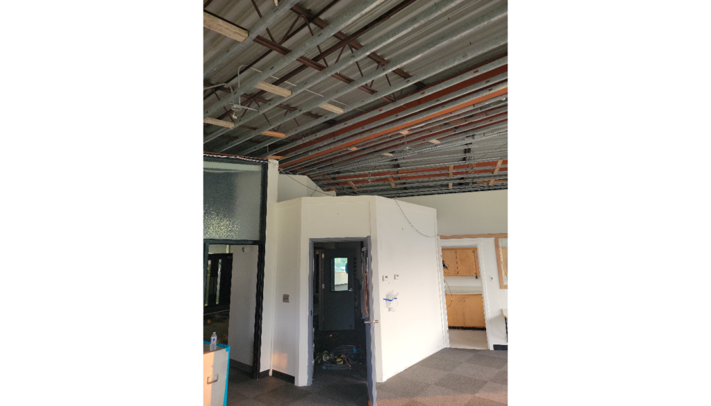 Abatement in the old library