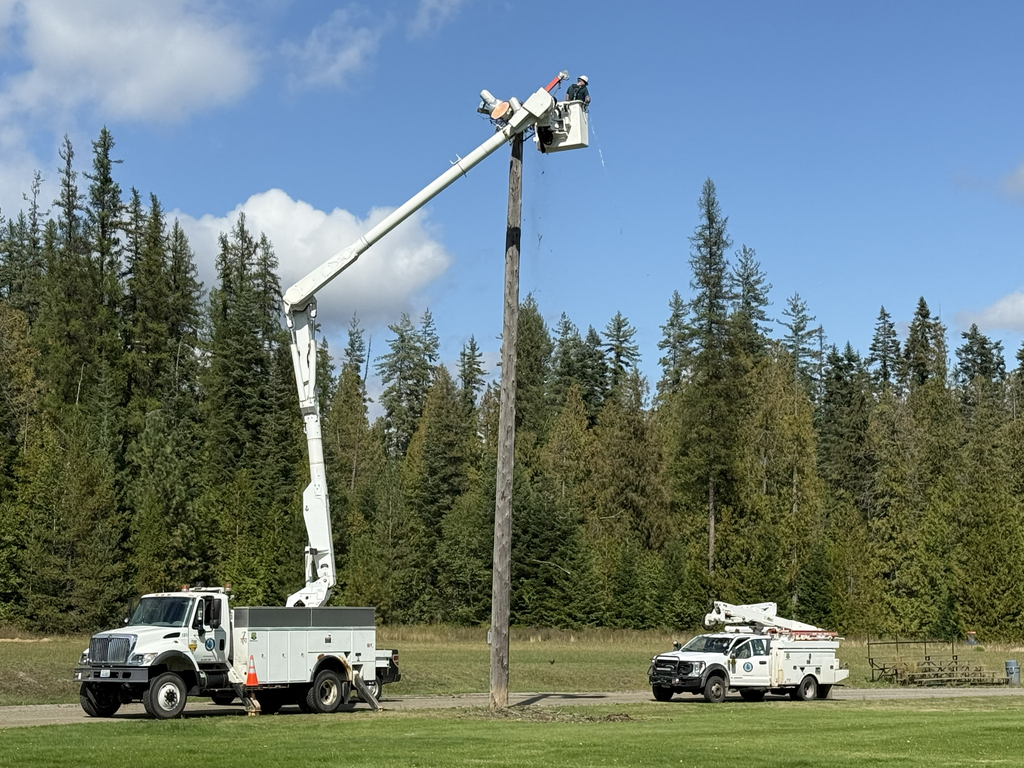 PUD Lights