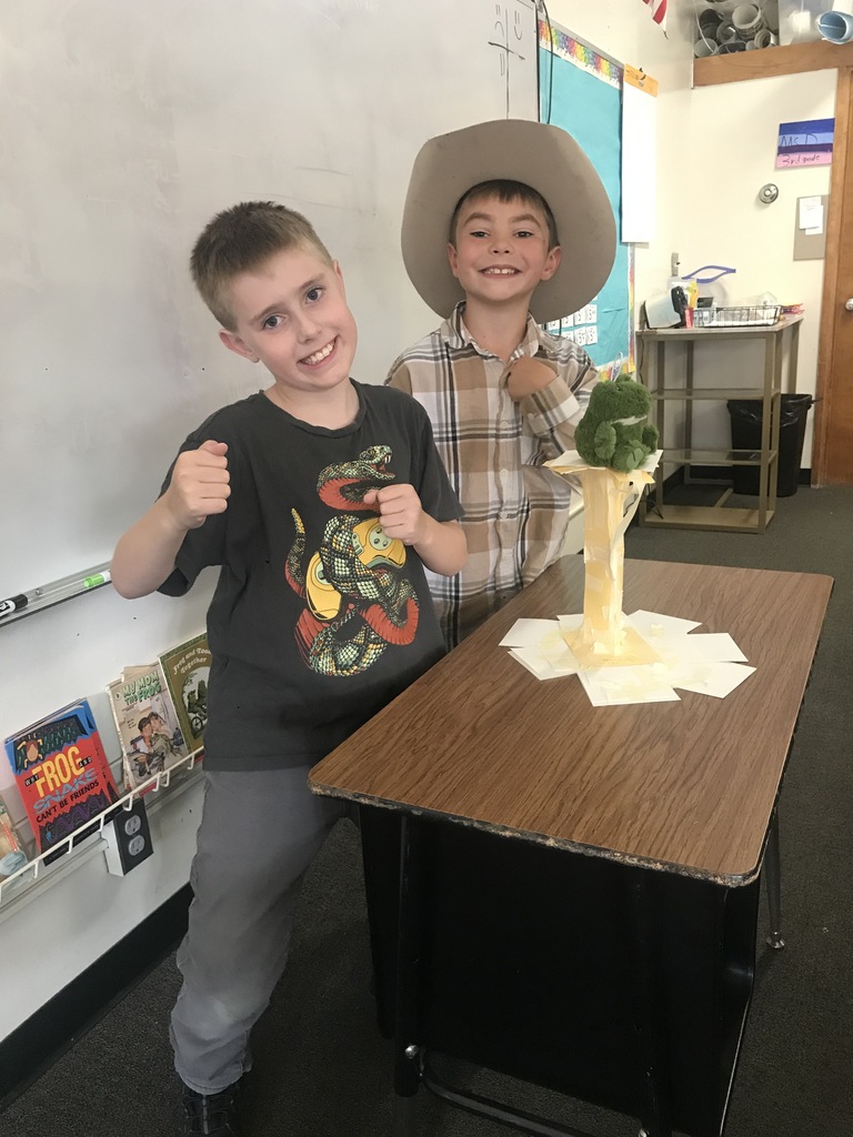 3rd grade engineering project