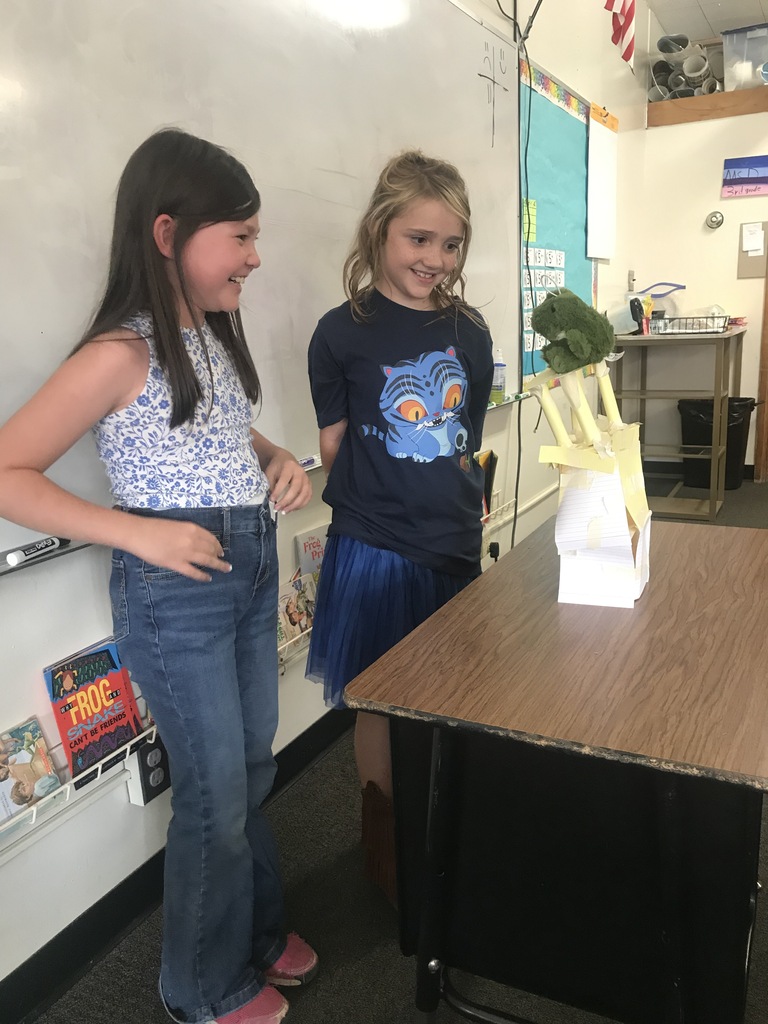 3rd grade engineering project