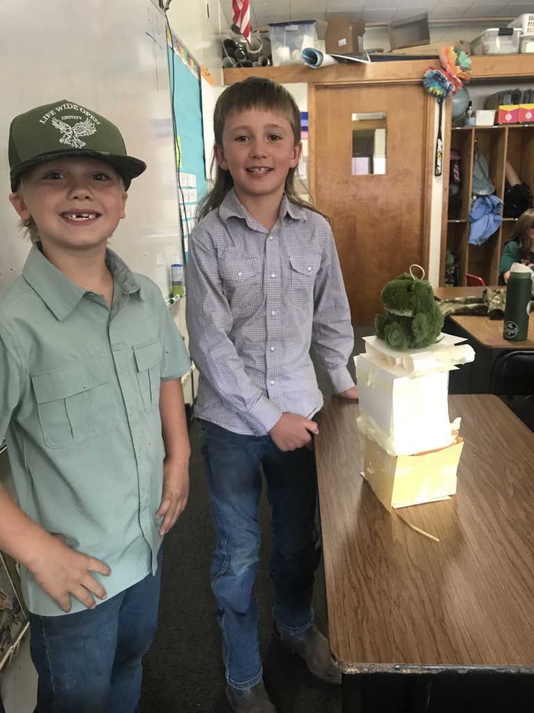 3rd grade engineering project