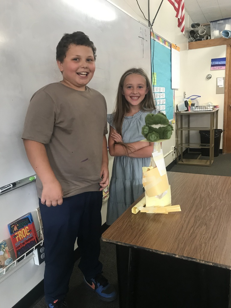 3rd grade engineering project