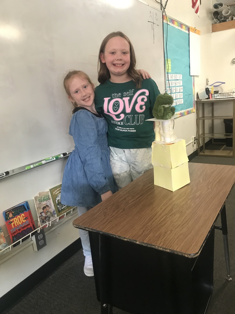 3rd grade engineering project