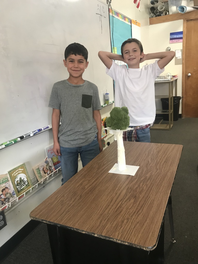 3rd grade engineering project