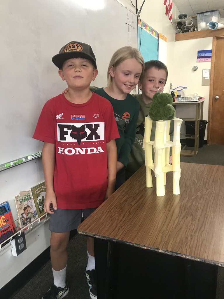 3rd grade engineering project