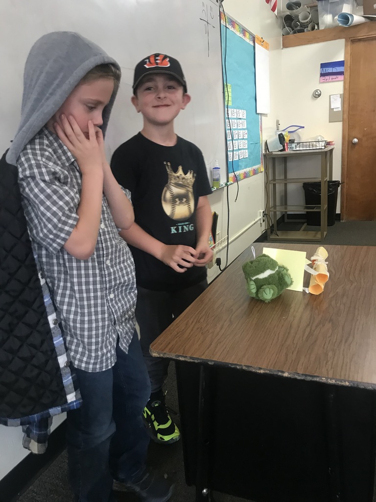 3rd grade engineering project