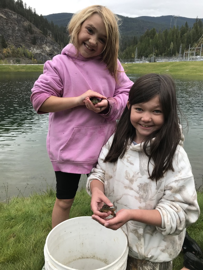 Box Canyon frog field trip