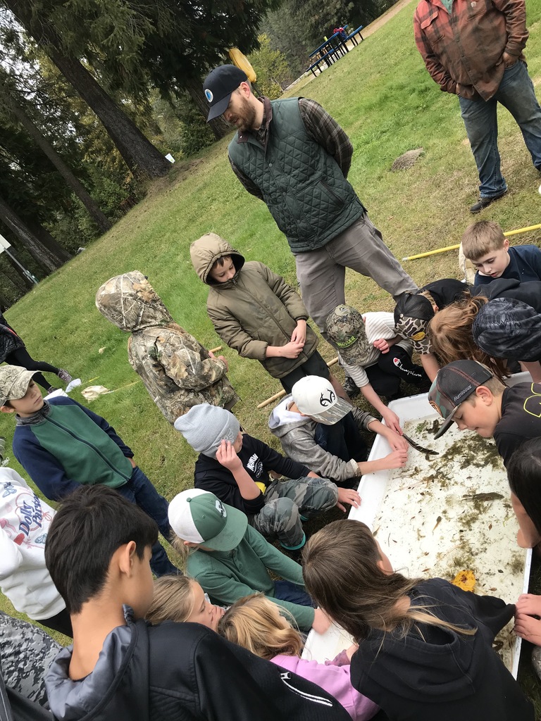 Box Canyon frog field trip