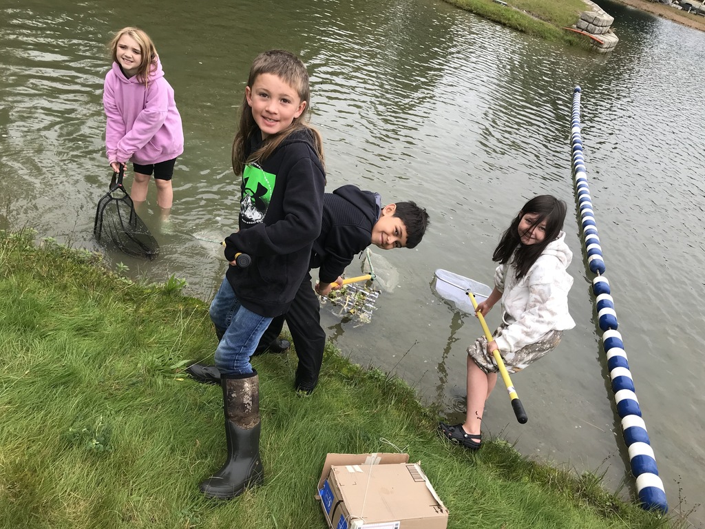 Box Canyon frog field trip