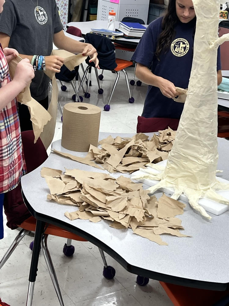 tearing of the paper towels
