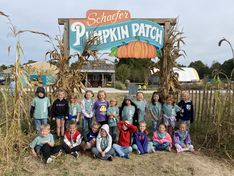 pumpkin patch