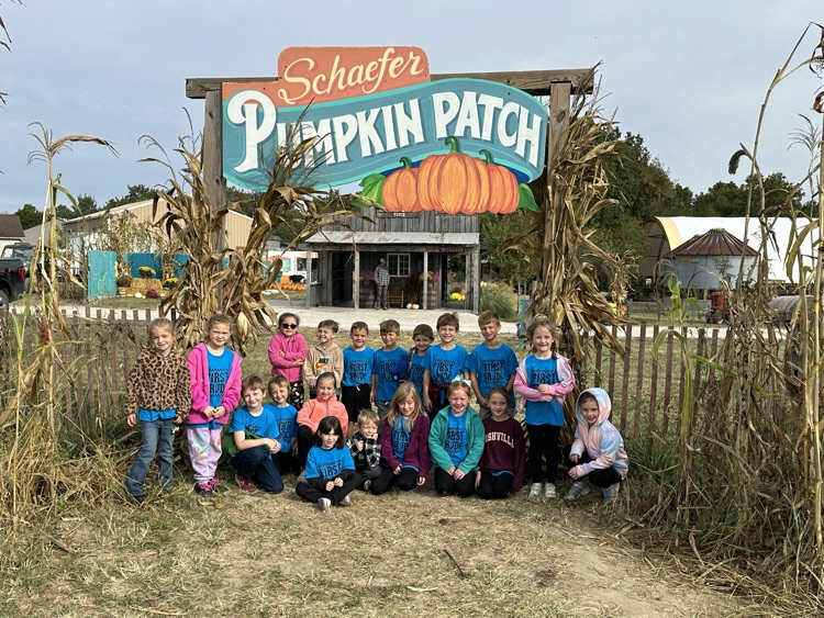 pumpkin patch