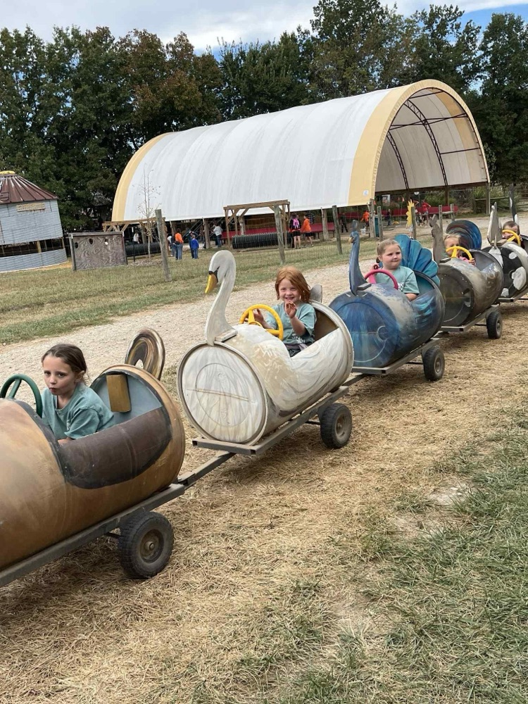 pumpkin patch
