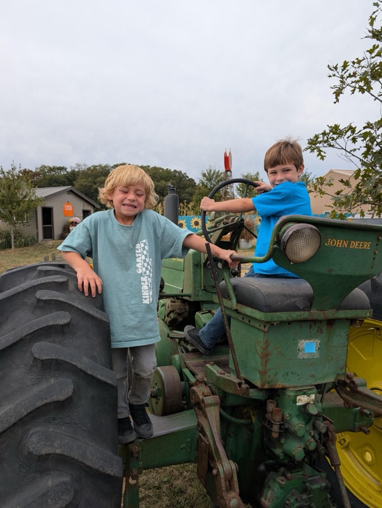 pumpkin patch