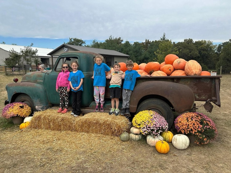 pumpkin patch