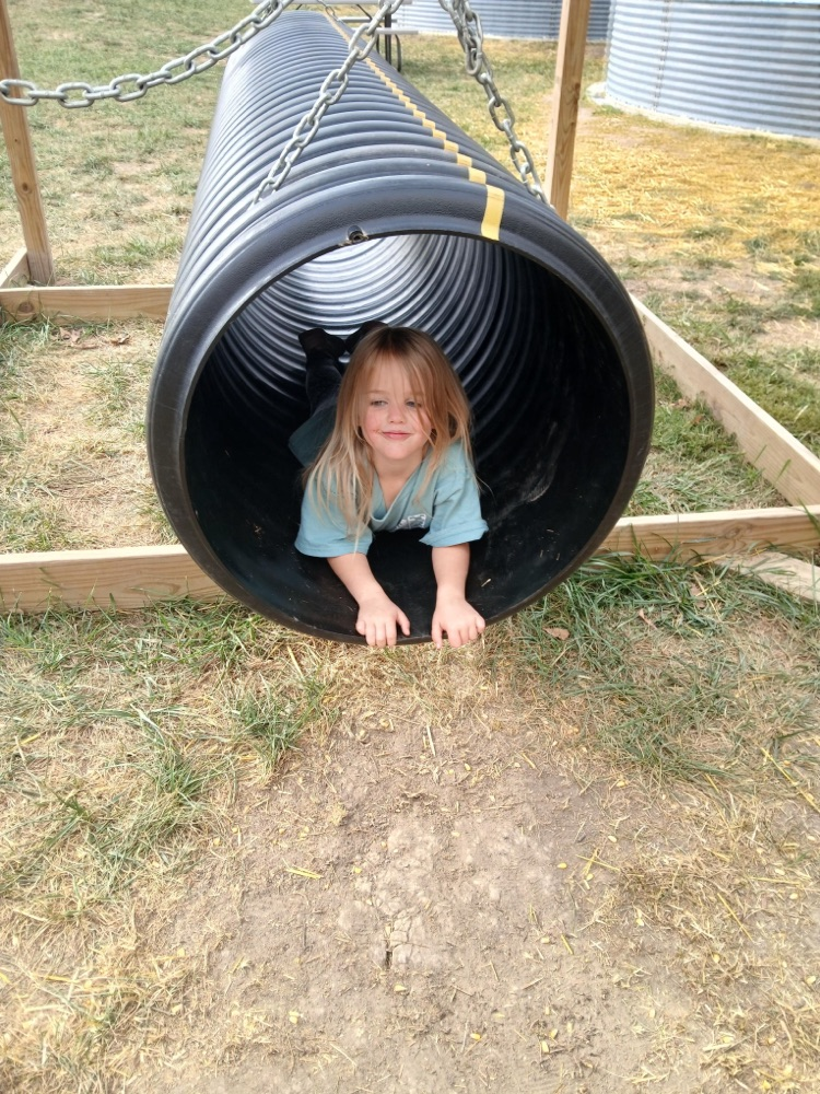 pumpkin patch