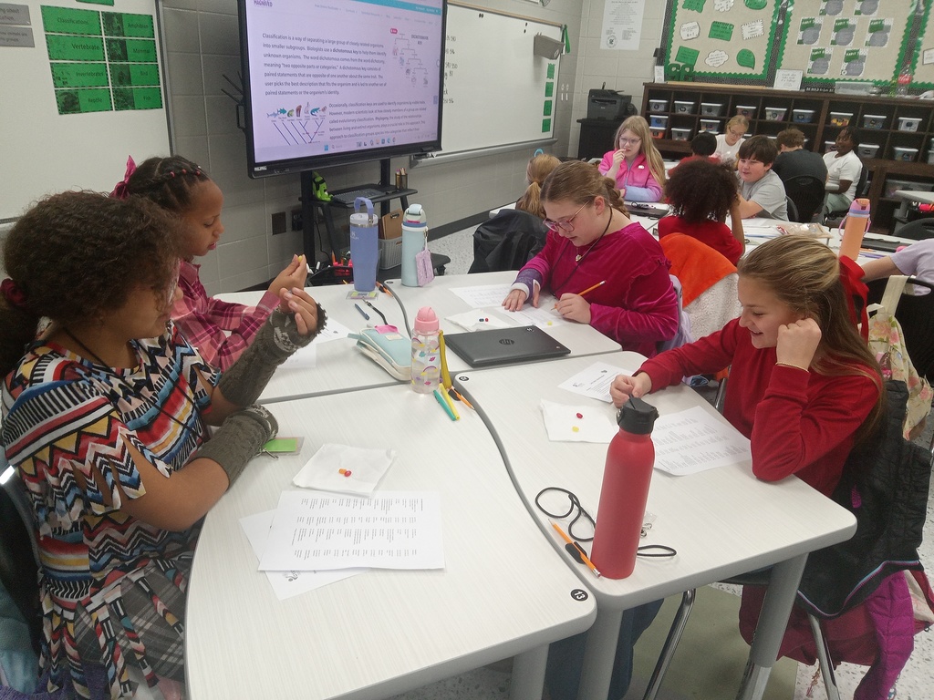 Hands-on learning in action! Students in Mrs. Gross’s classes investigated classification concepts using jelly beans and a dichotomous key.