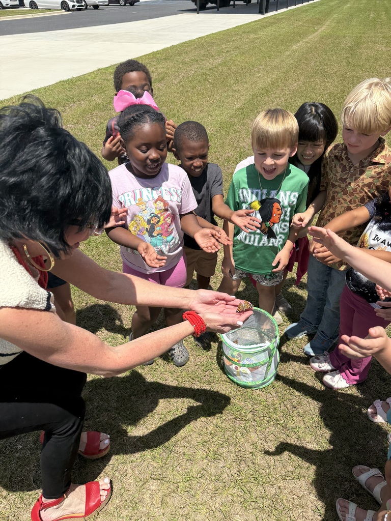 Mrs. Jodi Harper's class admiring their butterflies