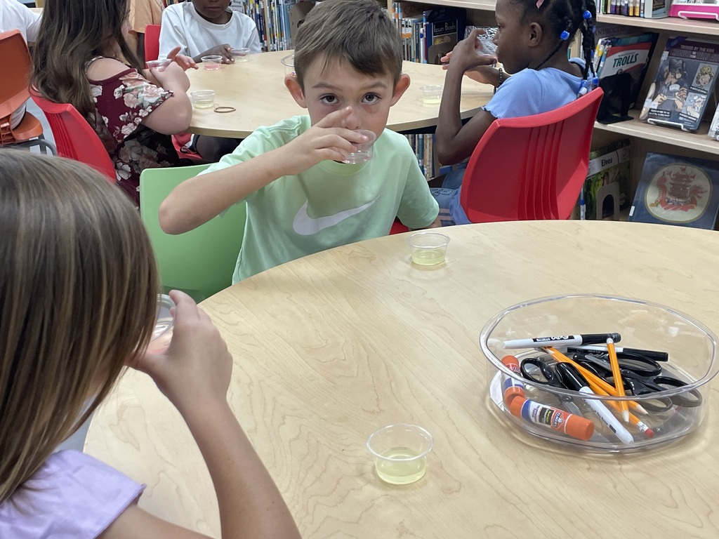 Ms. Hannah and Ms. Brooke’s 2nd graders came into the media center to do a lemonade tasting. They created a collaborative bar graph to graph their data. Classic lemonade won in all the classes. 