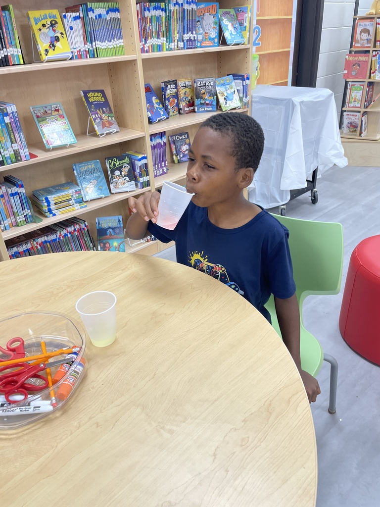 Ms. Hannah and Ms. Brooke’s 2nd graders came into the media center to do a lemonade tasting. They created a collaborative bar graph to graph their data. Classic lemonade won in all the classes. 