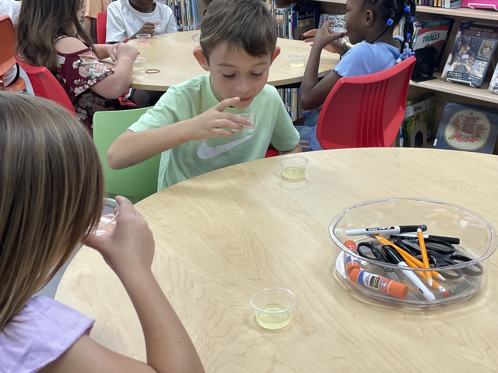 Ms. Hannah and Ms. Brooke’s 2nd graders came into the media center to do a lemonade tasting. They created a collaborative bar graph to graph their data. Classic lemonade won in all the classes. 